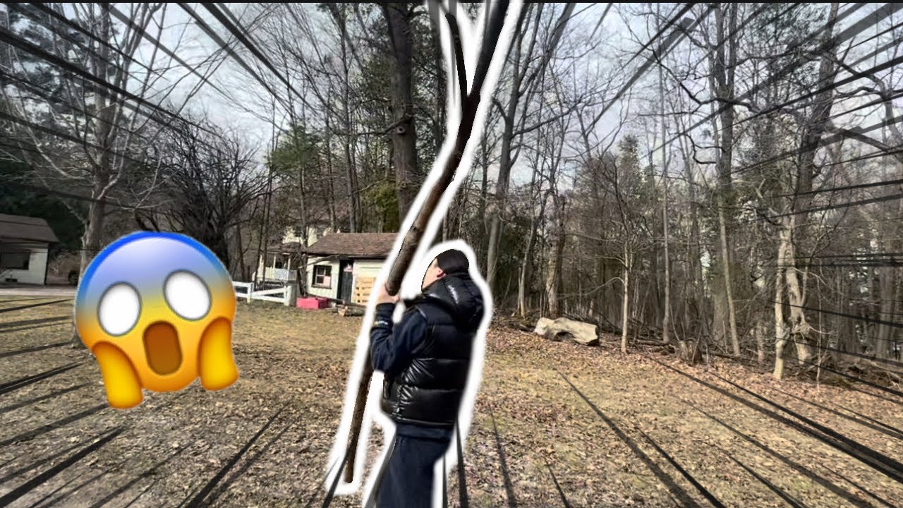 SCHOOL FIELD TRIP VLOG [haunted]