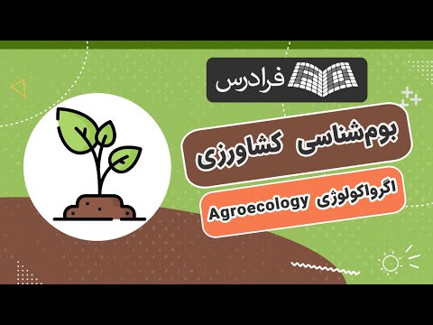 تصویری: بوم شناسی انسانی در جامعه شناسی چیست؟