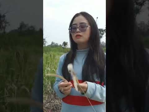 ai mê cặp