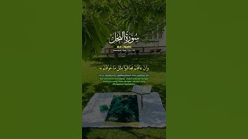 أيات بينات من سورة النحل تثلج الصدور بصوت القارئ الشيخ خالد الجليل #اكسبلور #خالد_الجليل #لايك
