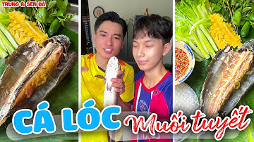 Cách Làm Cá Lóc Nướng Muối Tuyết Mềm Ngon Đậm Đà - Trung và Sen Đá