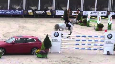 Dirk Demeersman, Cicero Z v Paemel,(Carthago Z x Randel Z x Grafit ) Sires of the World Zangersheide