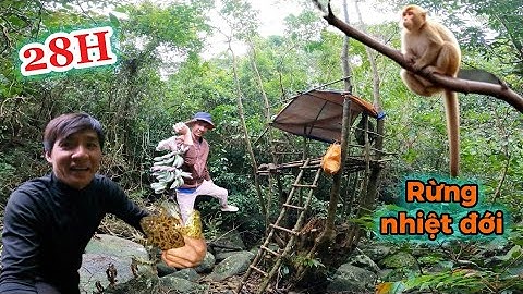 28 uur overleven in het regenwoud: ontdek een beek vol kikkers en krabben | 28 uur overleven in h...