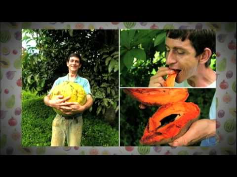 Vídeo: Cultivo de frutas exóticas: conheça as diferentes variedades de frutas tropicais
