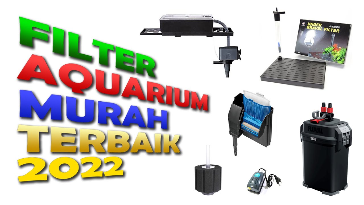 Filter Aquarium Murah Terbaik 2022 Best Cheap Aquarium Filter 2022