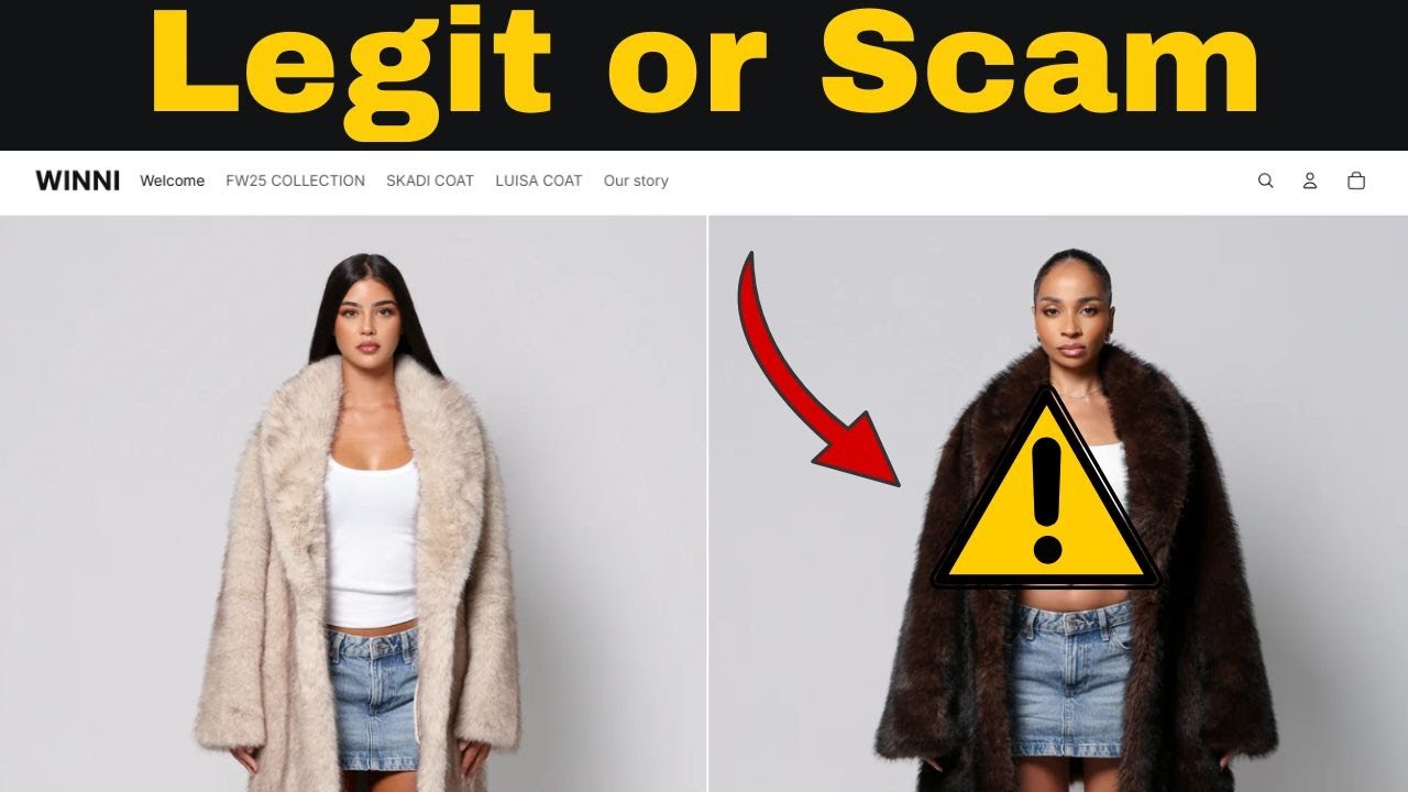 Обзор сайта Vinni Shopping – thewinni.co – это законный сайт или мошенничество?