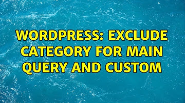 Wordpress: Exclude category for main query and custom