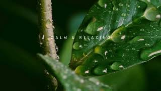 Tranquility - Deep Healing Relaxing Music - Meditation Ambient Music