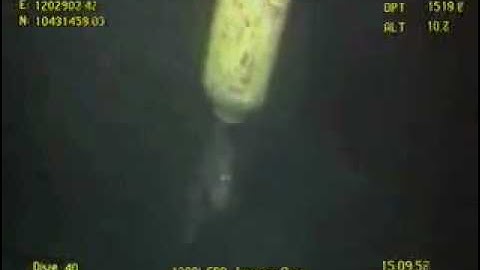 Boa Deep C ROV2 & ROV1