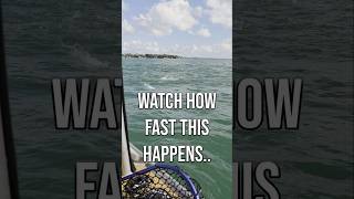 Kahawai Smash This Castinstant Hookup