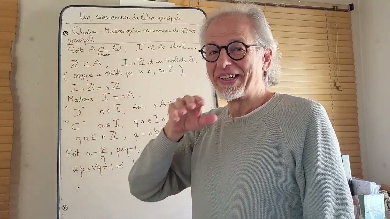 Montrez que tout sous-anneau de Q est principal!