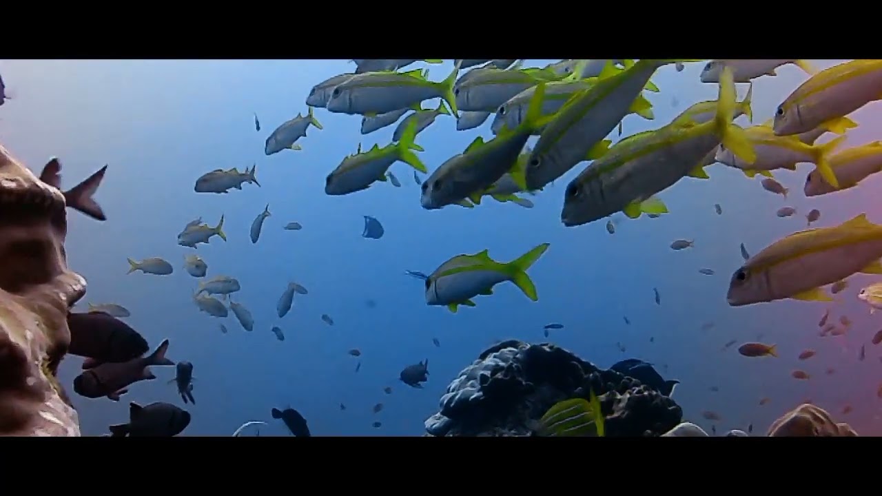 Take things slow - Santa Maria, Mozambique