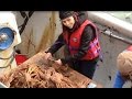 Bonne Bay Marine Station Research - April 2015