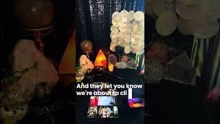 🚨refusal to change #toxic #karma #karmic