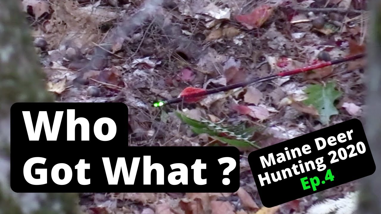 Maine Deer Hunting 2020 Expanded Archery Ep.4 YouTube