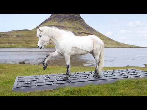 Video OutHorse Your Email to Iceland’s Horses