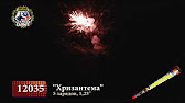 фиалка скарабей фото