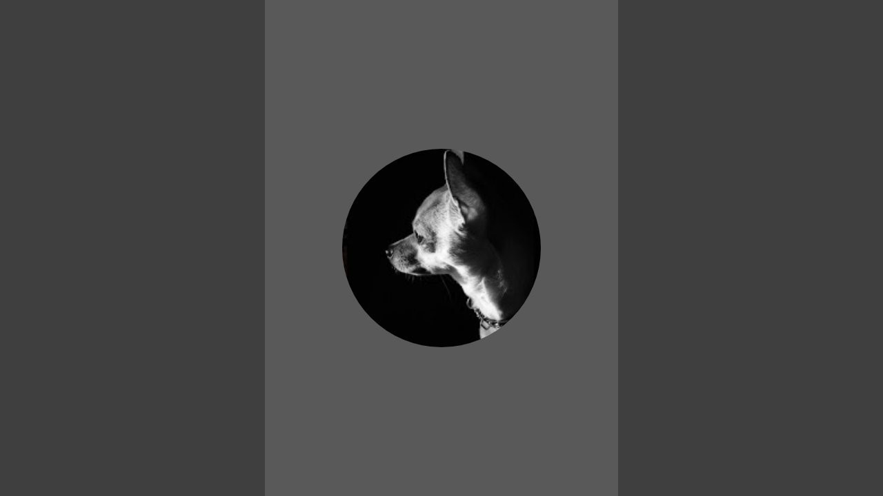 Go ricky está en vivo - YouTube