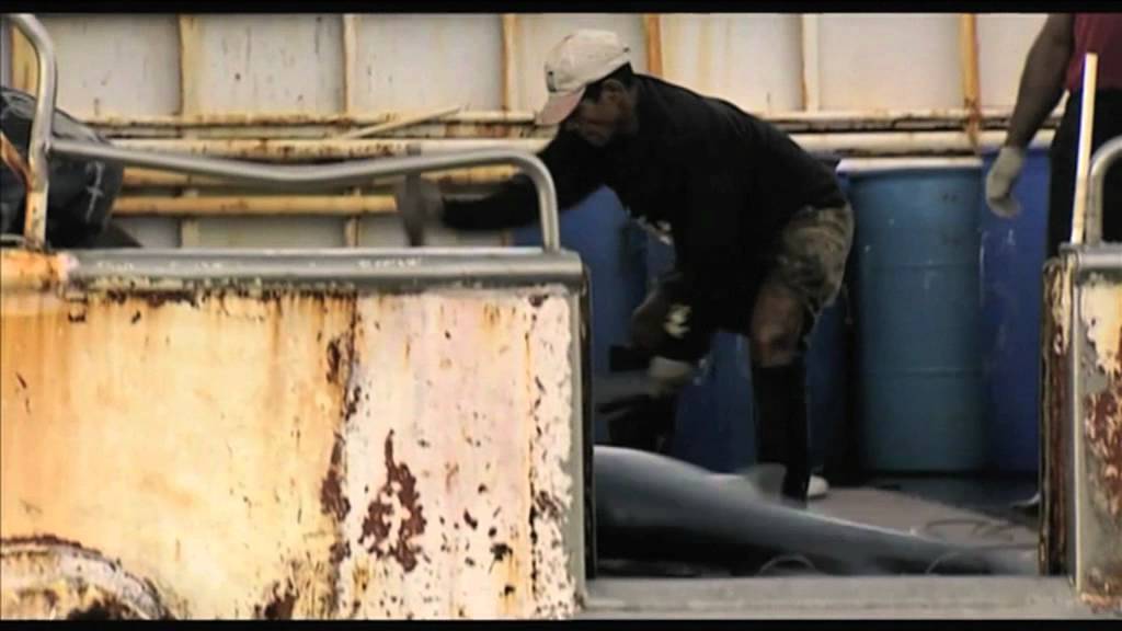 Jean Paul Jaud realisateur du Film Severn -Sauver la planète