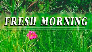 🌳🌞 Begin Your Day with the POSITIVE ENERGY of Healing Spring Sounds 🌳Fresh Morning Forest Ambience#6