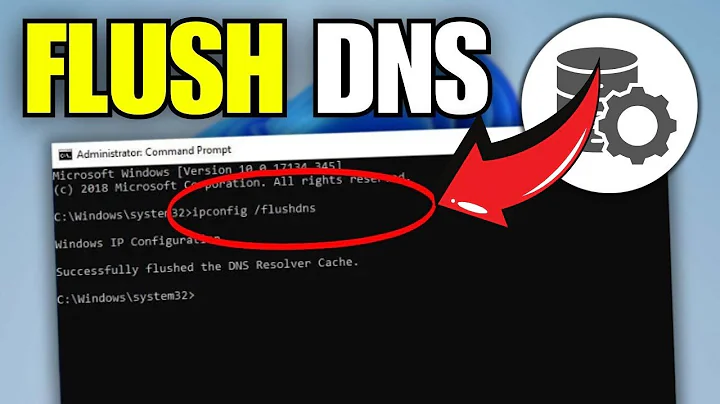 How To Flush DNS Cache in Windows 11  (2025)