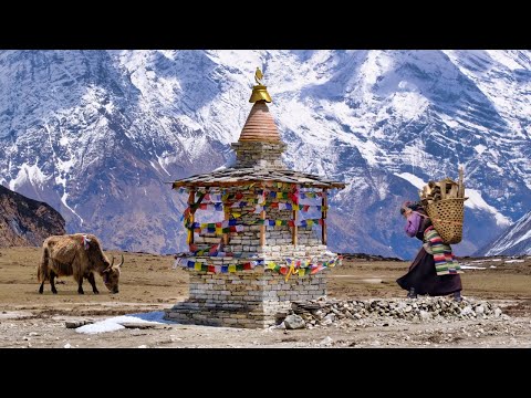 Where Tibet and Nepal Meet: Tsum Valley Trekking, Nepal Himalaya