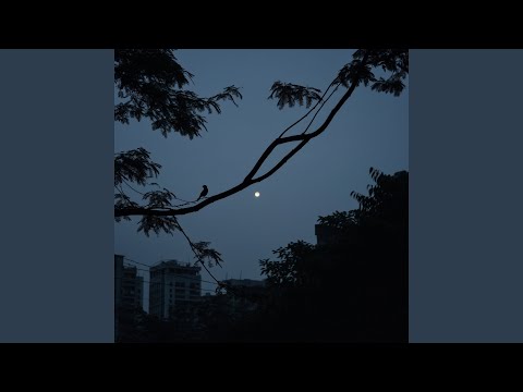 YouTubeでin the blue of morningを視聴