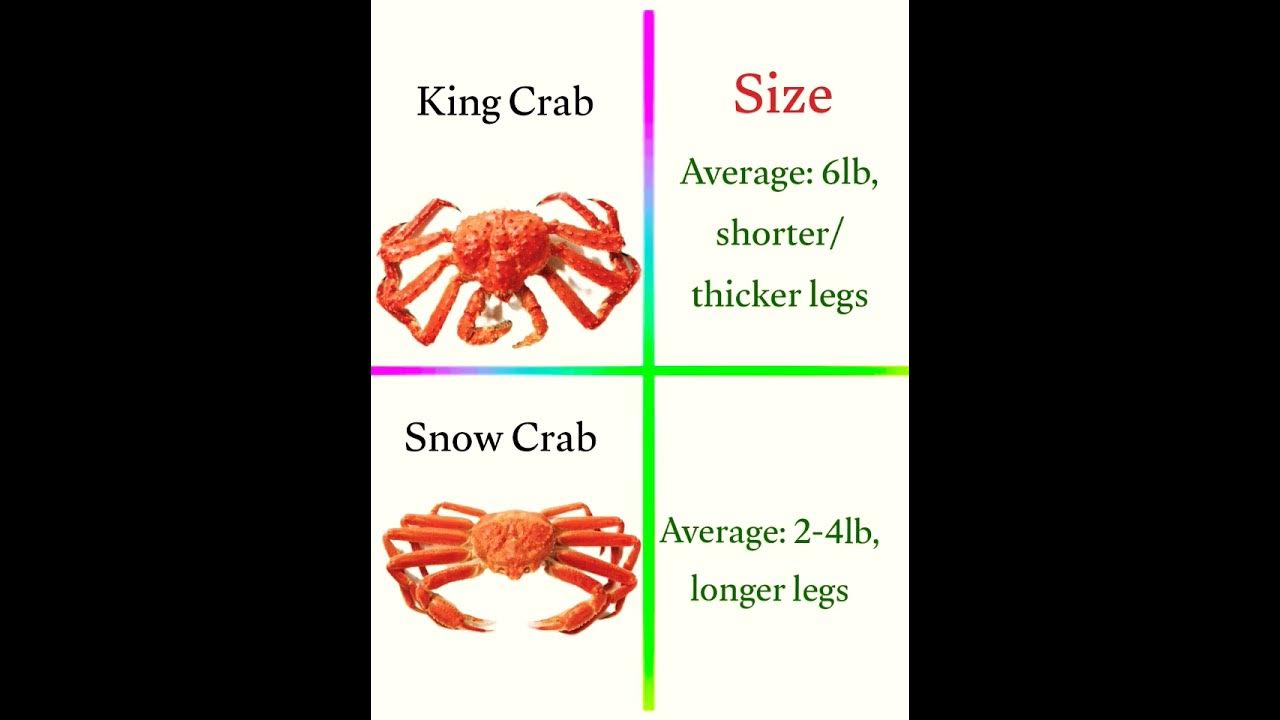king crab vs snow crab globalvillagertf crab YouTube