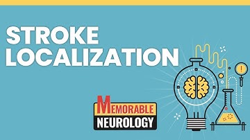 Stroke Localization Made Easy with Mnemonics! (Memorable Neurology Lecture 14)
