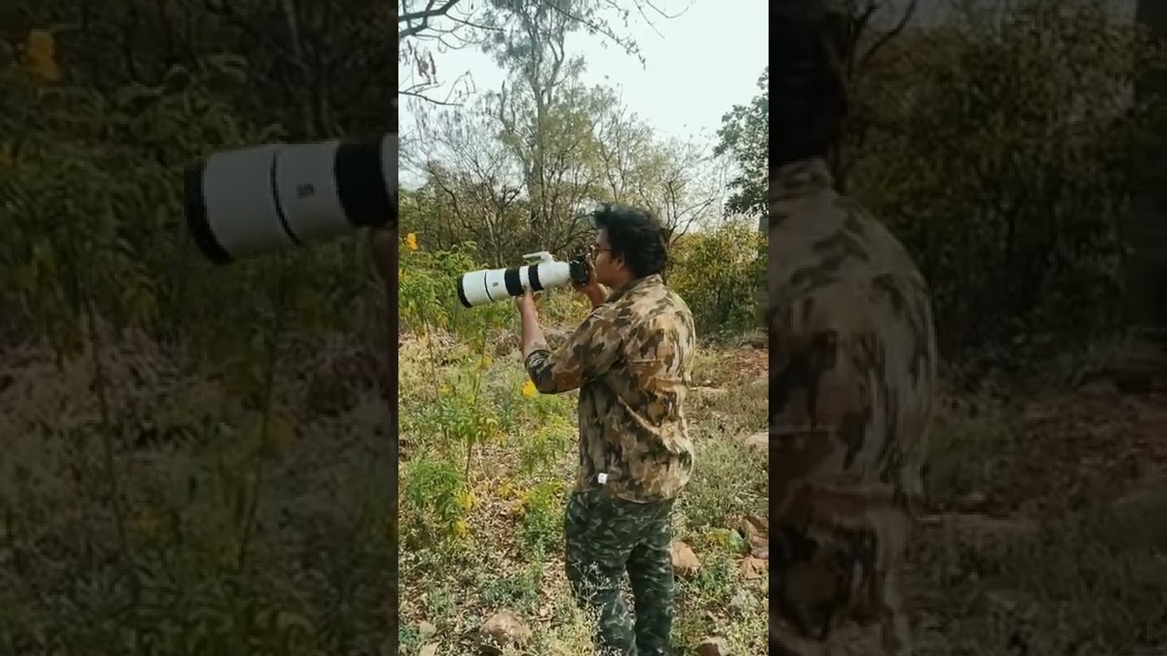 Amrabad Tiger Reserve 💚 || Telangana || 