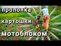 Как полоть картошку мотоблоком. Ежи пропольники в работе