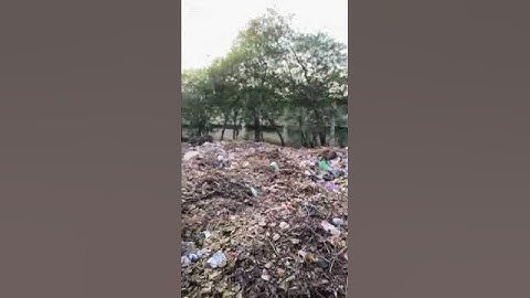 The Dual Stream Engineers | Project Pitch | CATS Hackathon 2026