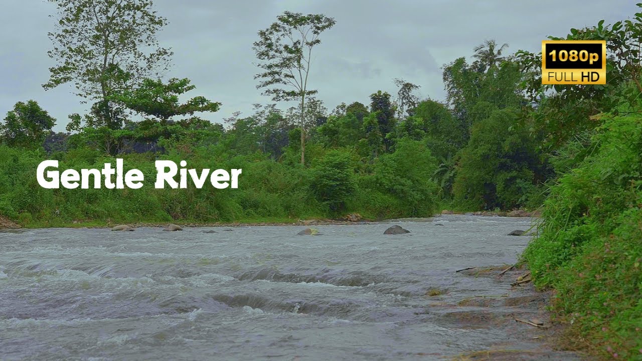 Secrets of the River: Peaceful Flow Through Verdant Glades – 2 Hours
