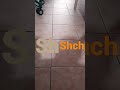 Sh Shch Sh Shch