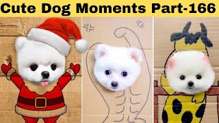 Cute dog moments Compilation Part 166| Funny dog videos in Bengali by Askoholic Shorts বাংলা 129,047 views 11 months ago 8 minutes, 14 seconds