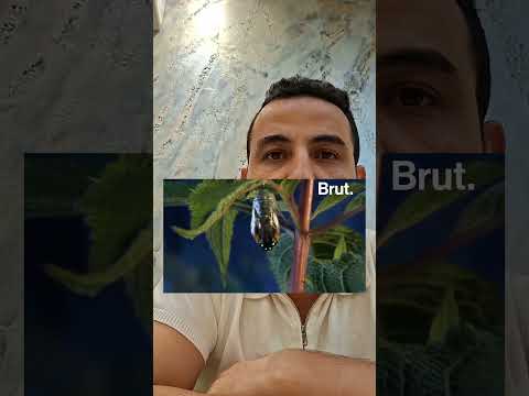 الدرس رقم 03 العزلة والقطيعة 