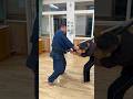 剣術稽古 samurai sword techniques #kenjyutu #kobudo