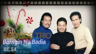 BORNGIN NABADIA -  AKSIDOS TRIO  (official video lyric)