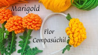 Cempasúchilcrochet Marigold flowers