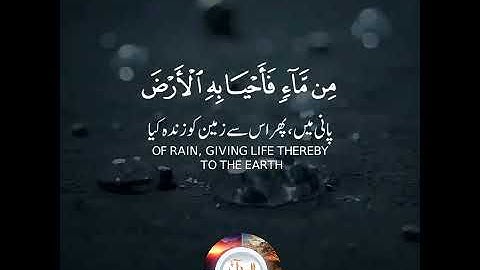 Surah Al Baqarah | Verse 164 | Anas Al Maiman | سورة البقرة | انس الميمان | THE VISUAL QURAN