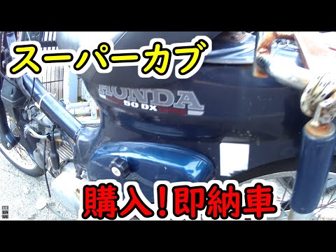 【スーパーカブ】カブをバラバラにしていきます。納車、ジャンクのスーパーカブ50、衝動的に購入してしまったスーパーカブをもって帰ります。SuperCub