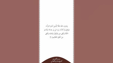 تلاوة في دقيقة سورة التحريم الآية ١١ الشيخ مشاري العفاسي