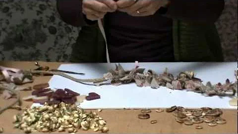 Craft Tips for Garland making