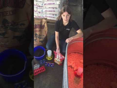 Augusta Co-op's 'Scoop from the Coop' - Feed & Water Tips