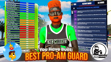 BEST PRO AM GUARD BUILDS on NBA 2K24! BULLETPASSER