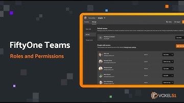 FiftyOne Teams: Roles and Permissions