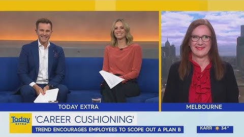 Career Cushioning - Sue Ellson on Channel 9