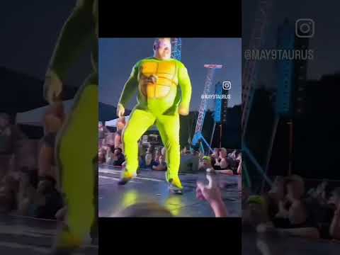 Fat Ninja Turtle