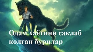 Она бури ва болаларини улимдан саклаб колди. Бир йил утиб...