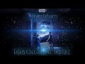 Miniature de la vidéo de la chanson Weird, Imperfect Symmetry Of Creation